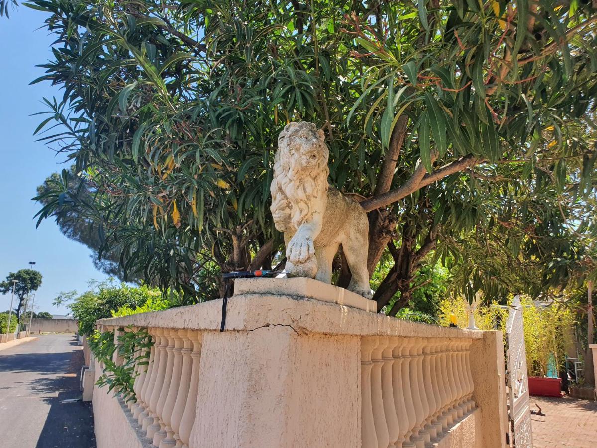 Villa Les Palmiers -Stretta Di I Mandarini Lucciana  Exterior foto